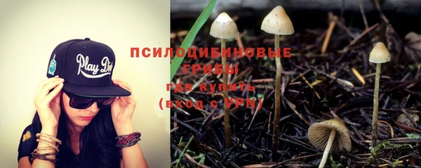 стаф Рославль