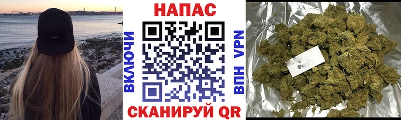 Бошки марихуана Ganja  Благодарный 